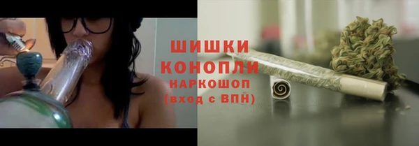 стафф Майский