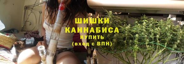 стафф Майский