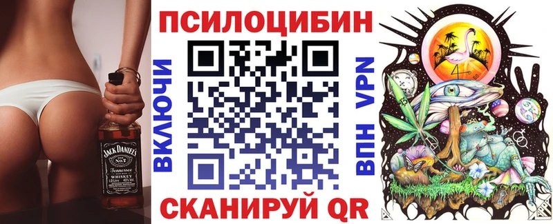 Купить  Горячеводский  Галлюциногенные грибы Psilocybine cubensis 
